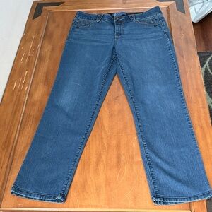 Democracy AbSolution Straight Leg Jeans Size 10